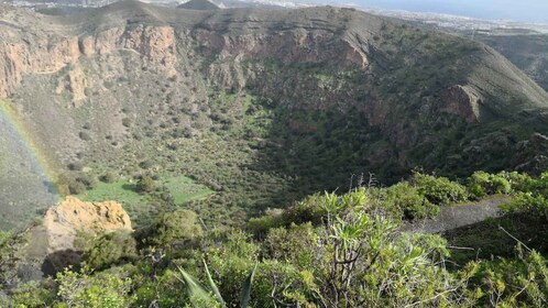 Caldera du Bandama, jardin botanique/vin, vieille ville de Las Palma