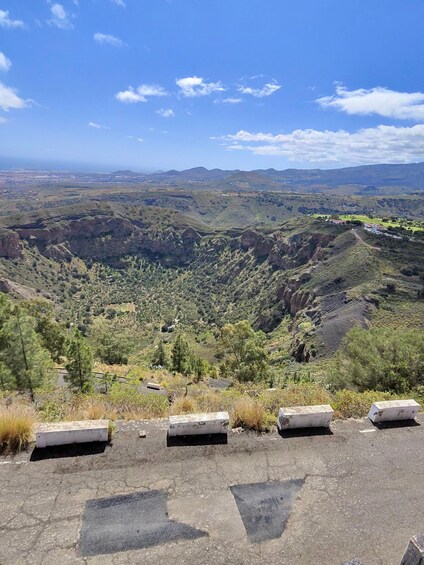 Picture 57 for Activity Bandama Caldera, Botanic Garden/Wine,Old Town from Las Palma