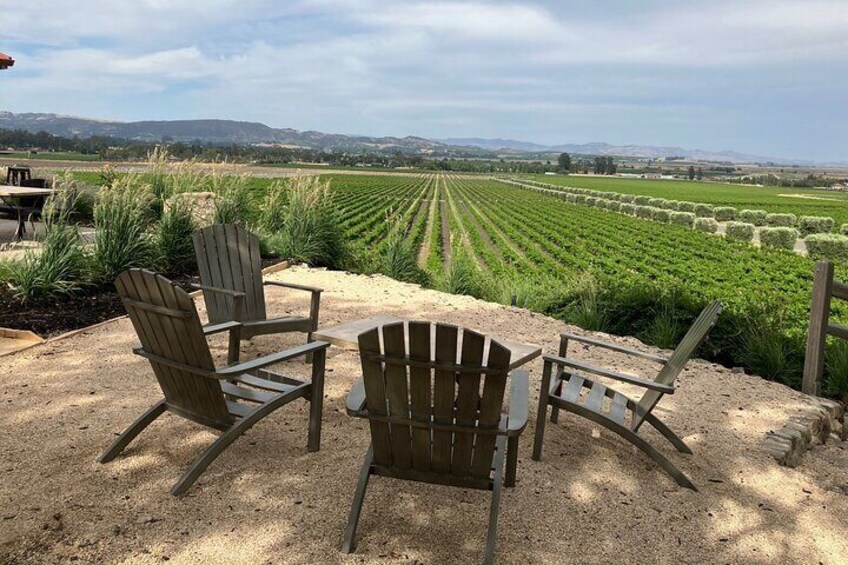 Sonoma Carneros View 