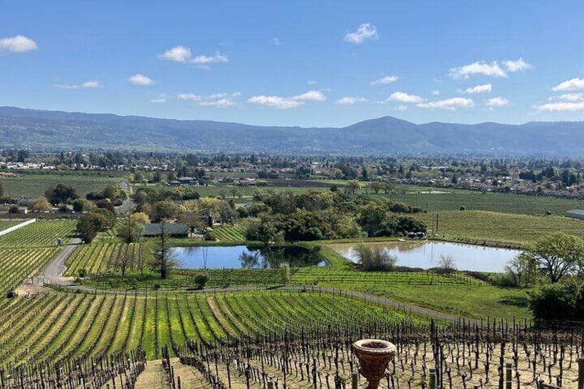 Private winery view of Napa 