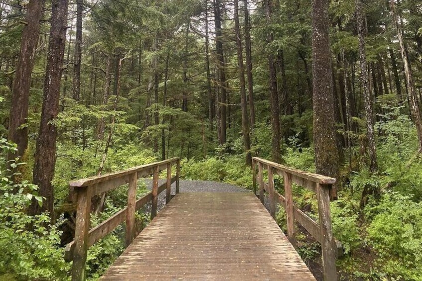 Guided Hike | TONGASS NATIONAL FOREST