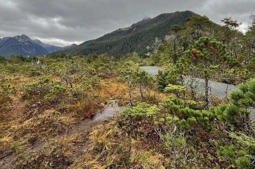 Guided Hike | TONGASS NATIONAL FOREST