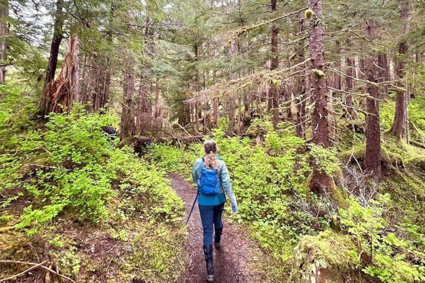 Guided Hike | TONGASS NATIONAL FOREST