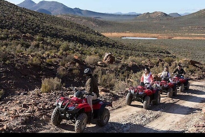 Excursion d'une journée complète en quad Aquila Safari lors d'une visite pr...