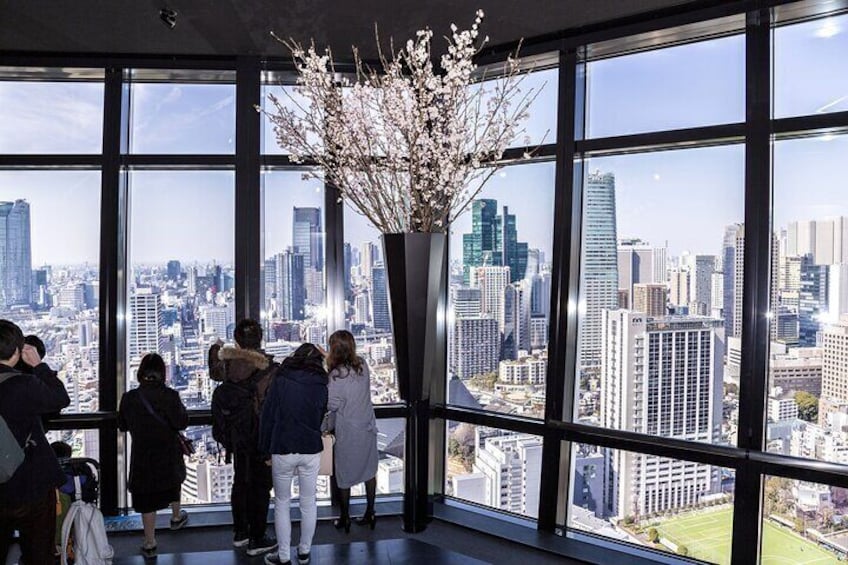 Tokyo Tower admission ticket