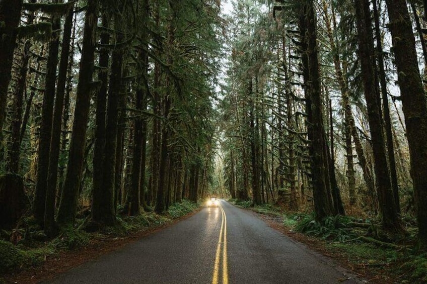 Twilight Forks Washington Tour