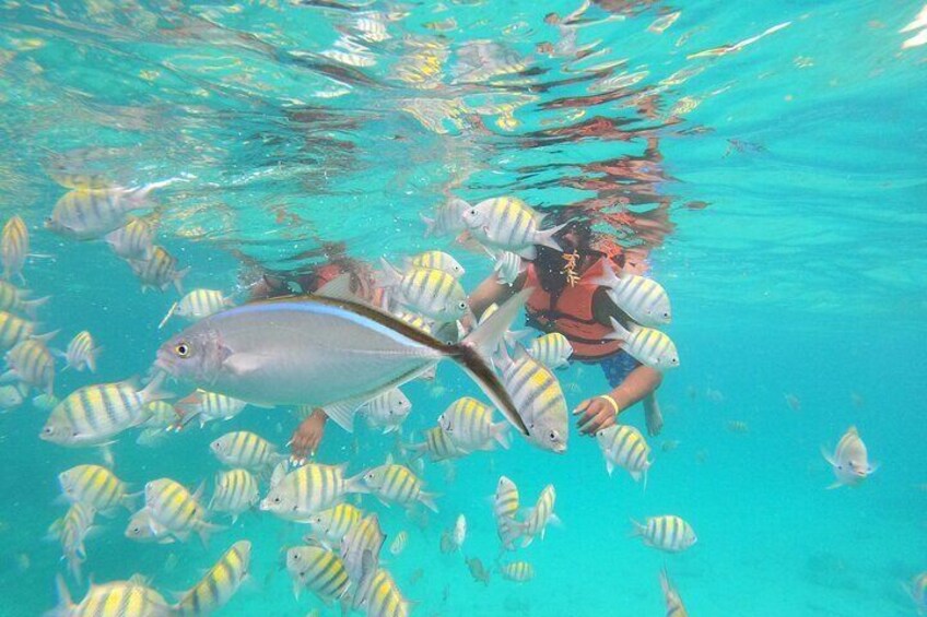 Full-Day Catalina Island Snorkeling From Punta Cana