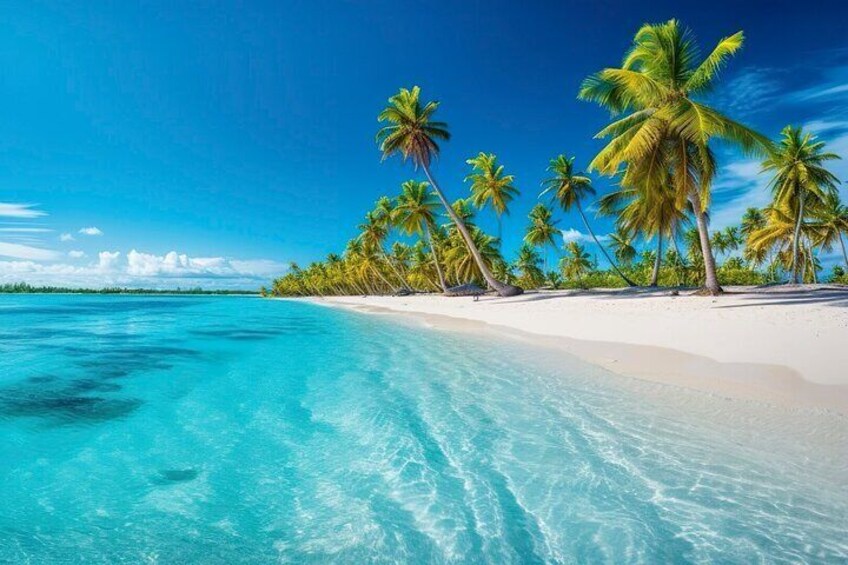 Punta Cana: Snorkeling Experience at Catalina Island with Lunch