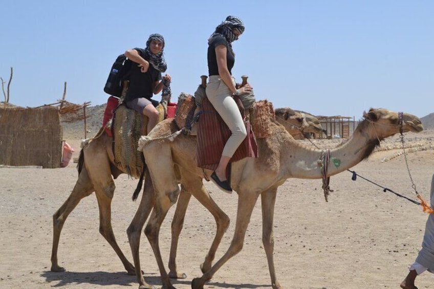 3 Hours Safari by ATV Quad Bike & Camel Ride Transfer to El Gouna