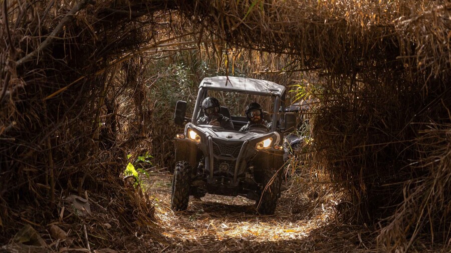 Almancil: Algarve Guided Off-Road Buggy Adventure