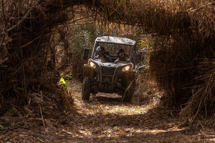 Almancil : Algarve guidée aventure buggy hors route