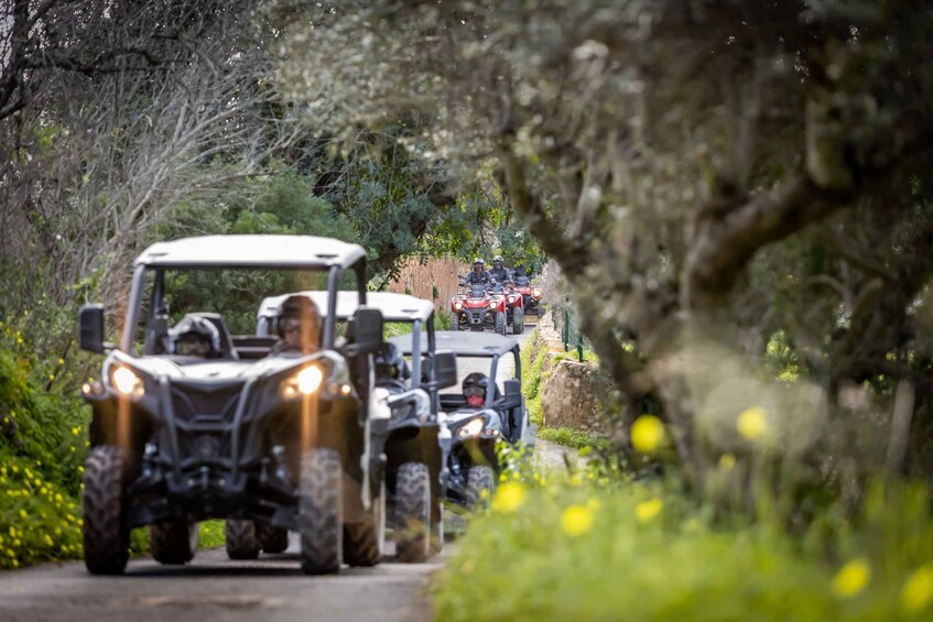 Picture 1 for Activity Almancil: Algarve Guided Off-Road Buggy Adventure