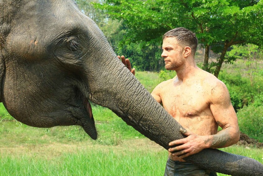 Picture 2 for Activity Chiang Mai: Elephant Feeding Experience