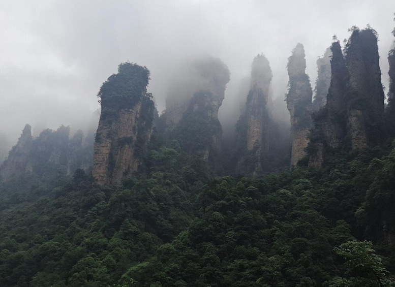 Picture 3 for Activity Full-Day Private Tour of Zhangjiajie National Forest Park