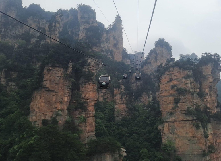 Picture 7 for Activity Full-Day Private Tour of Zhangjiajie National Forest Park