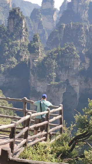 Picture 2 for Activity Full-Day Private Tour of Zhangjiajie National Forest Park