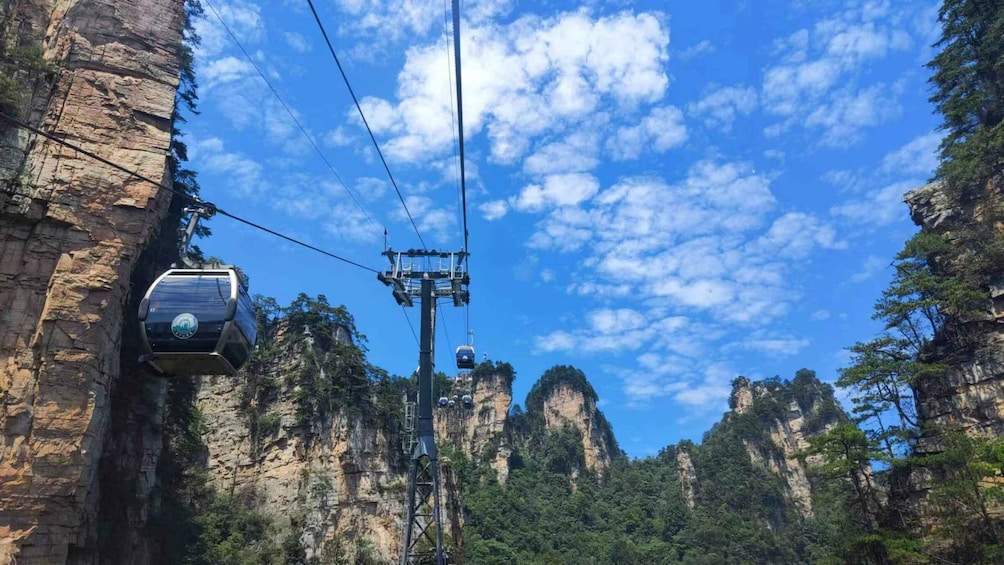 Picture 1 for Activity Full-Day Private Tour of Zhangjiajie National Forest Park