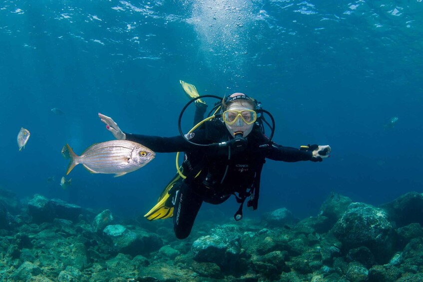 Picture 7 for Activity LanzarteFirst Scuba Dive Experience for Children 8-10 aged