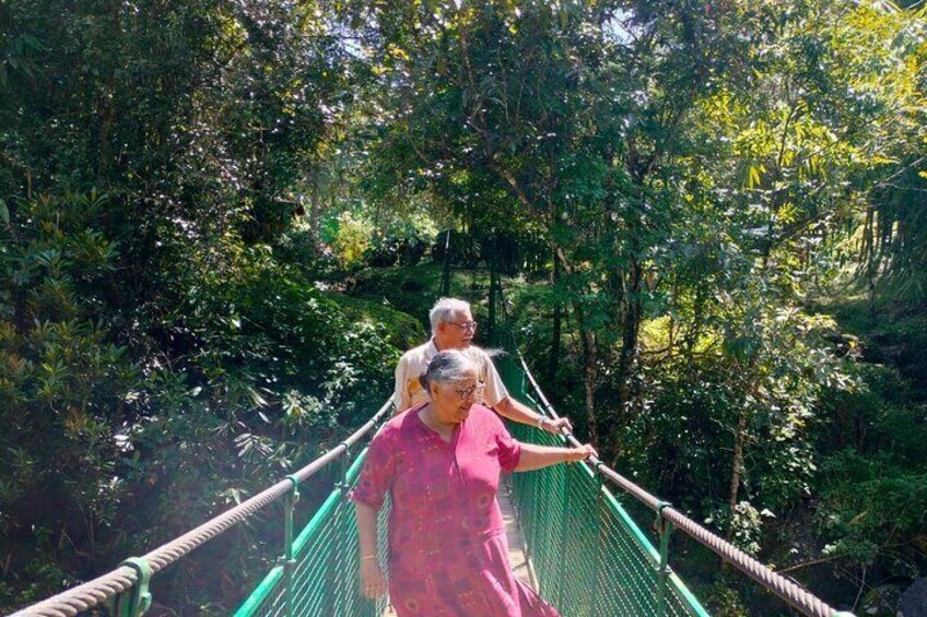 Hanging bridge 