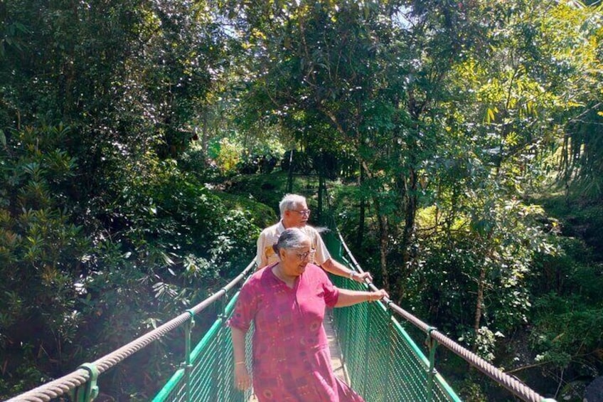 Hanging bridge