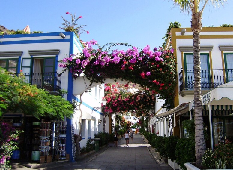 Picture 2 for Activity Puerto de Mogan: Friday Market Experience