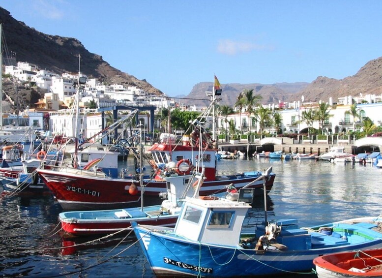 Picture 4 for Activity Puerto de Mogan: Friday Market Experience