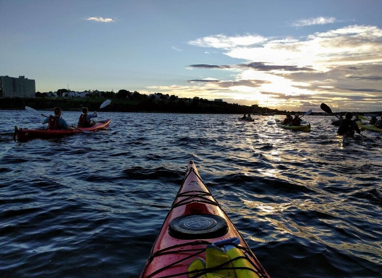 Picture 4 for Activity Portland, Maine: Sunset Kayak Tour with a Guide