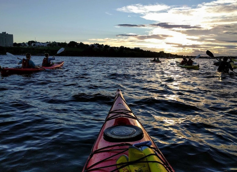 Picture 4 for Activity Portland, Maine: Sunset Kayak Tour with a Guide