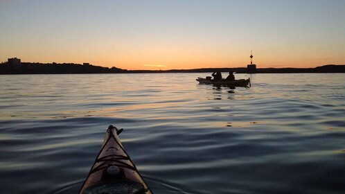 Portland, Maine: recorrido en kayak al atardecer con guía