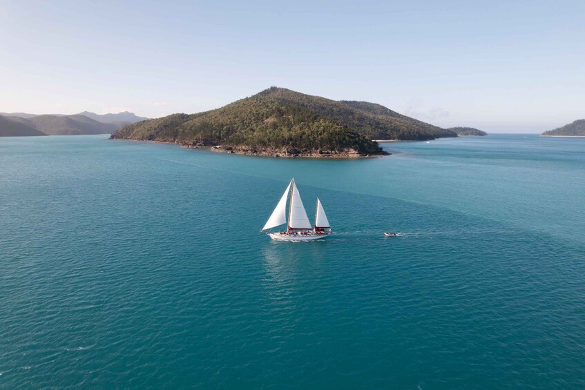 Picture 9 for Activity Airlie Beach: Adults-Only Whitehaven Beach Sailing Tour