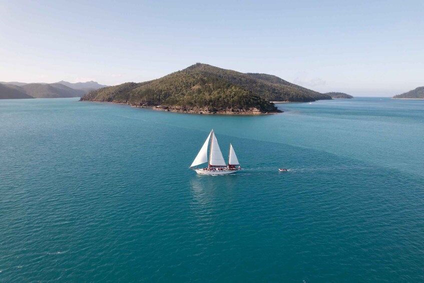 Picture 10 for Activity Airlie Beach: Adults-Only Whitehaven Beach Sailing Tour