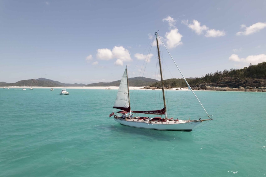 Picture 8 for Activity Airlie Beach: Whitehaven Beach Sailing and Snorkeling Tour