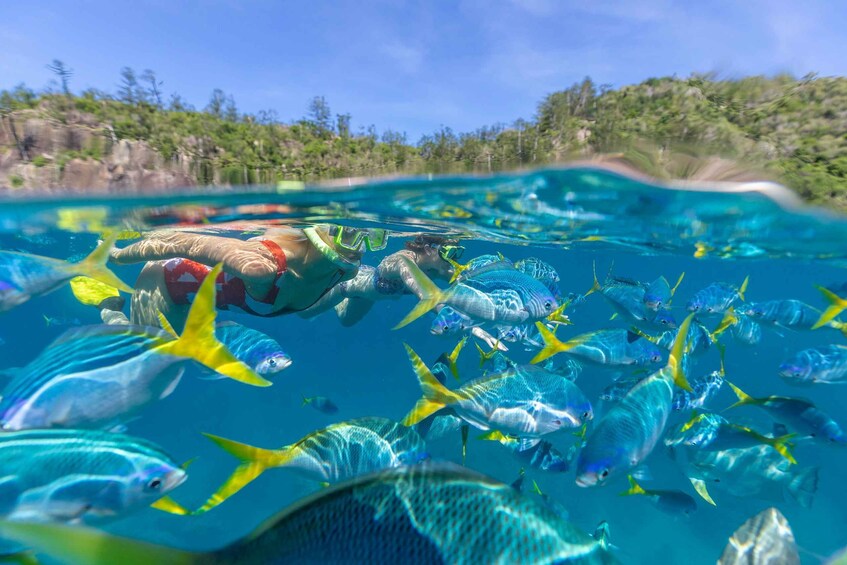 Picture 11 for Activity Airlie Beach: Adults-Only Whitehaven Beach Sailing Tour