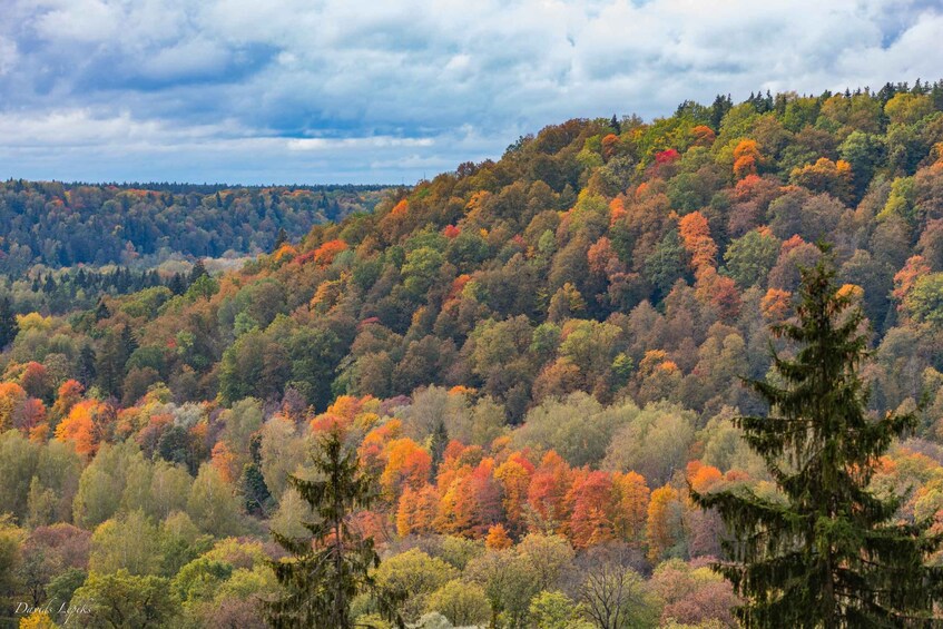 Picture 3 for Activity Gauja National Park Guided Hiking Tour