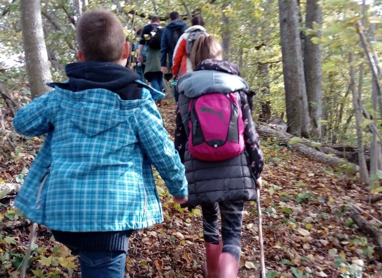 Picture 6 for Activity From Riga/Jurmala: Gauja National Park Guided Hiking Tour