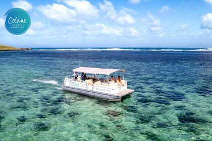 Excursión a las 5 islas: crucero privado en pontón por New Océane