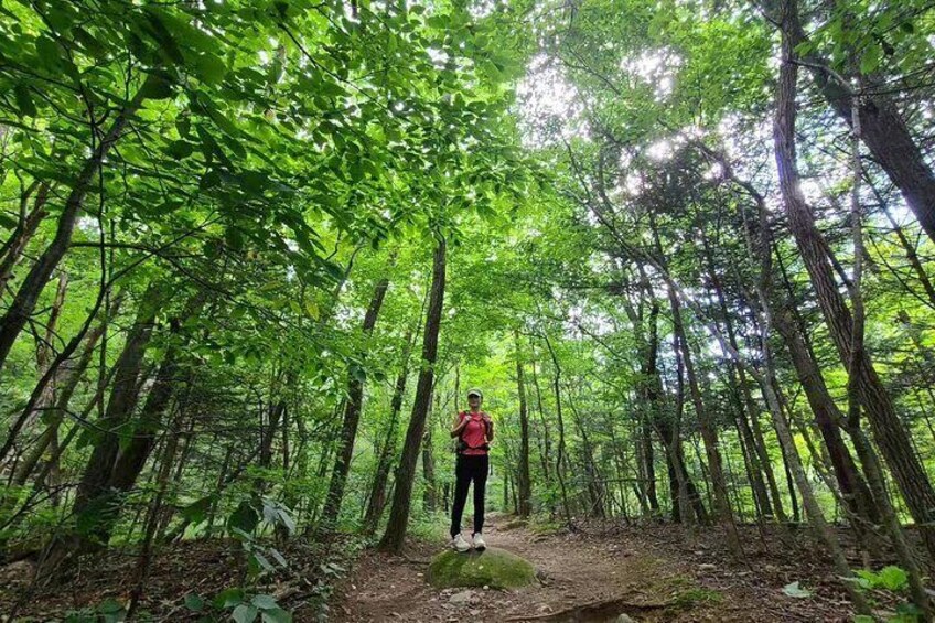 Private Hiking in Bukhansan National Park (Baegundae Main peak)