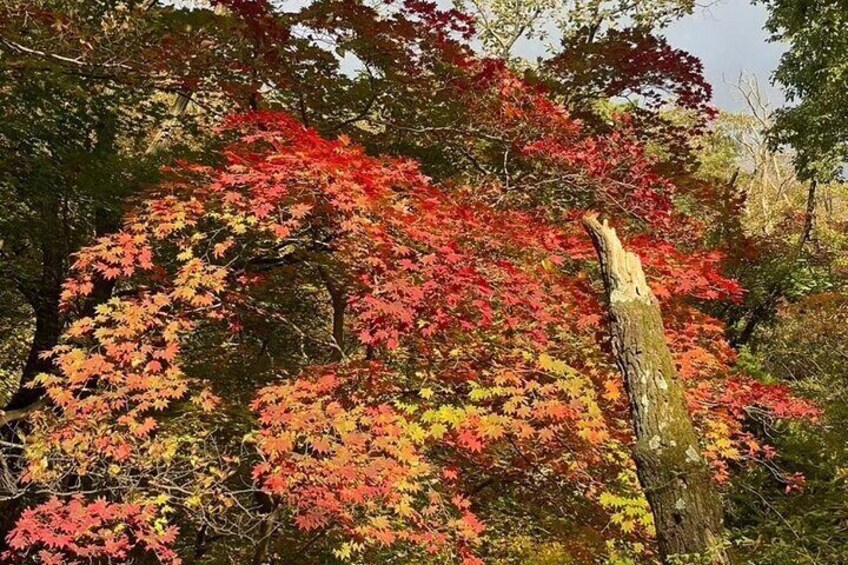 Private Hiking in Bukhansan National Park (Baegundae Main peak)