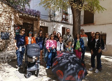 Granada: Historic Center and Lower Albaicin Walking Tour