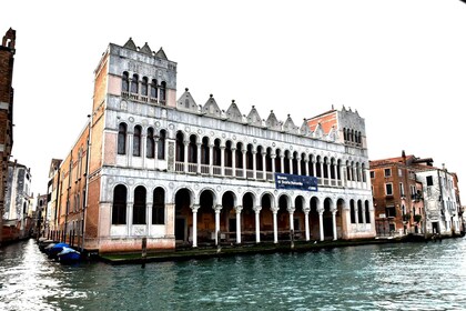 Venedig: Adgangsbillet til Naturhistorisk Museum