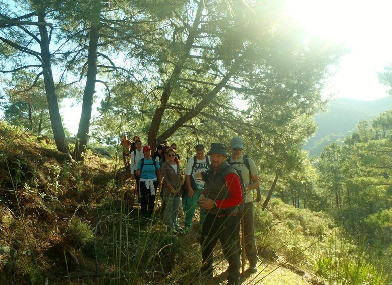 Picture 4 for Activity Hiking and bathing in natural pools in the National Park