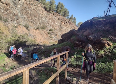 Hiking and swimming in natural pools in the National Park