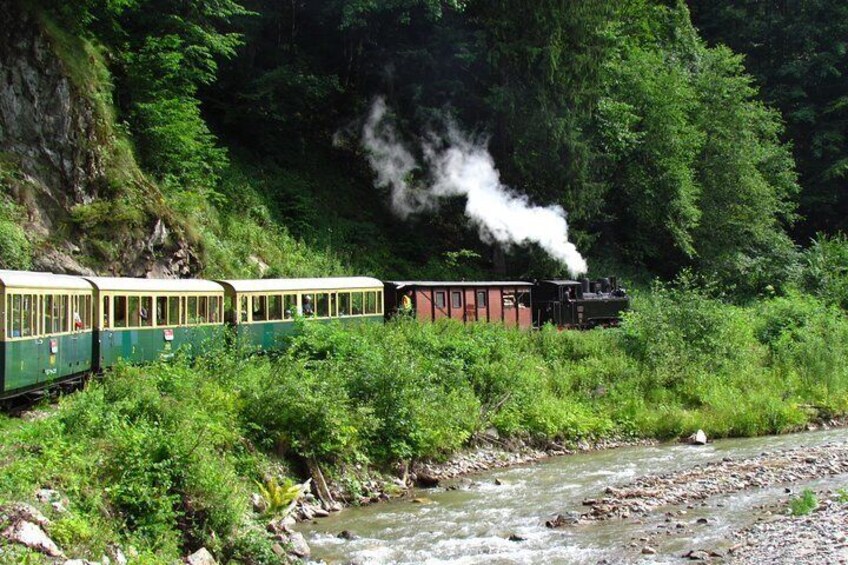 Mocanita Steam Train