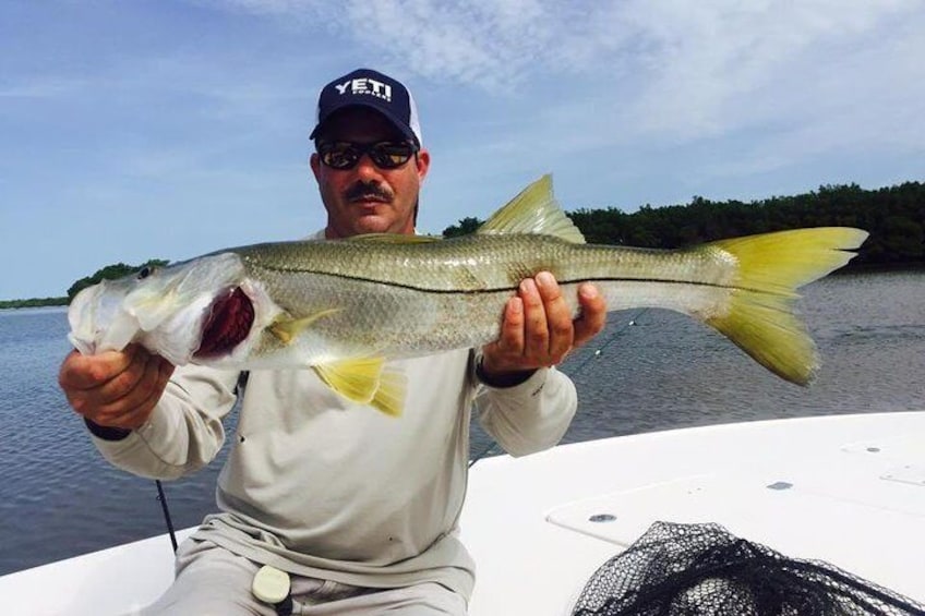 Apalachicola Inshore Fishing