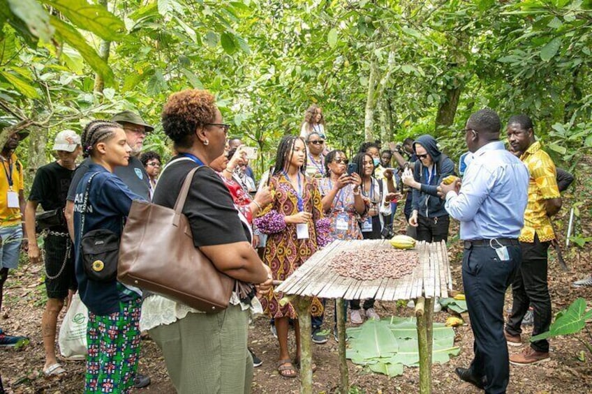 Discussions during the tour centered on cultural, educational and investment opportunities within the cocoa sector