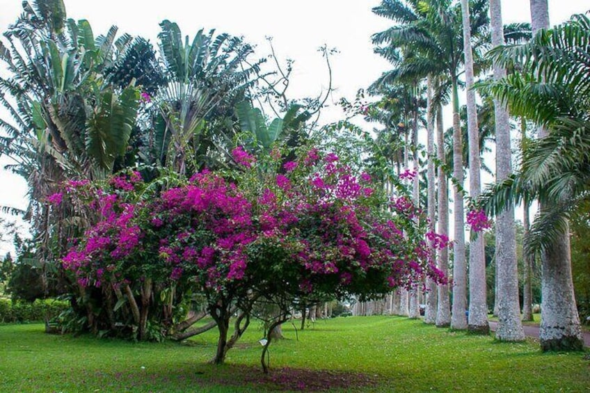 Aburi botanical gardens the beauty to witness..