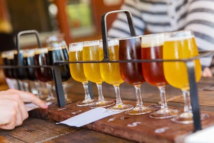Asheville: visita guiada a una cervecería artesanal con un aperitivo