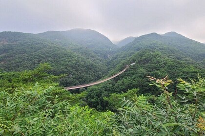 Private DMZ & Suspension Bridge with Admission