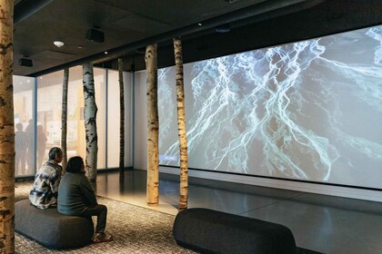 Seattle: entrada al Museo Nórdico Nacional