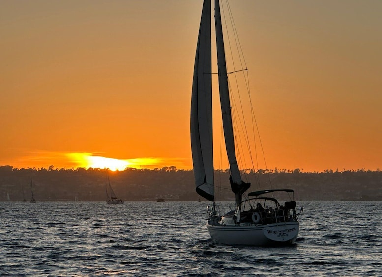 Picture 50 for Activity San Diego: Sunset and Day Sailing Excursion with Drinks
